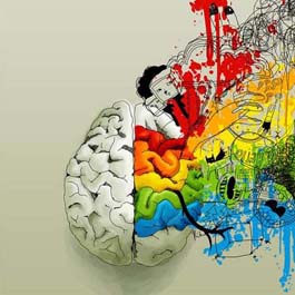  KOE Chile ciencia: El cerebro crece al aprender inglÃ©s
