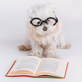 Cómo mantener la práctica del inglés fuera de un ambiente angloparlante